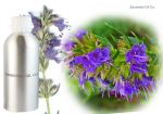 Hyssop Oil