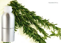 Rosemary oil