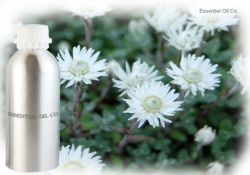 Helichrysum Oil