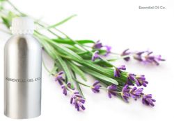 lavender Oil