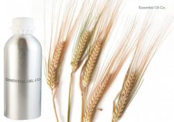 Wheatgerm Oil