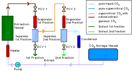 SCFE diagram