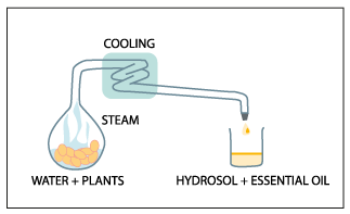 hydrosol